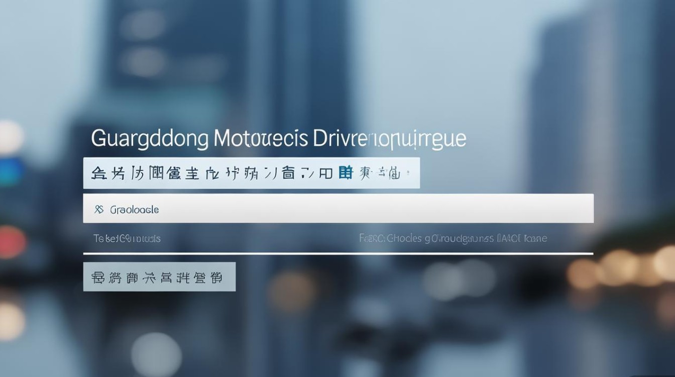 广东摩托车驾驶证查询